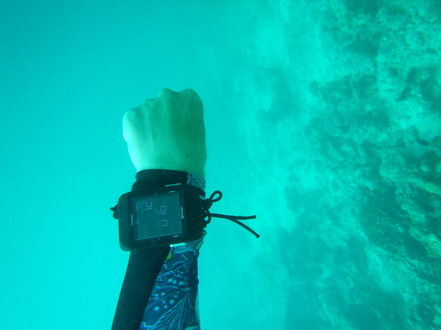 cosmiqplus-deepblu-diving-computer-review-scuba