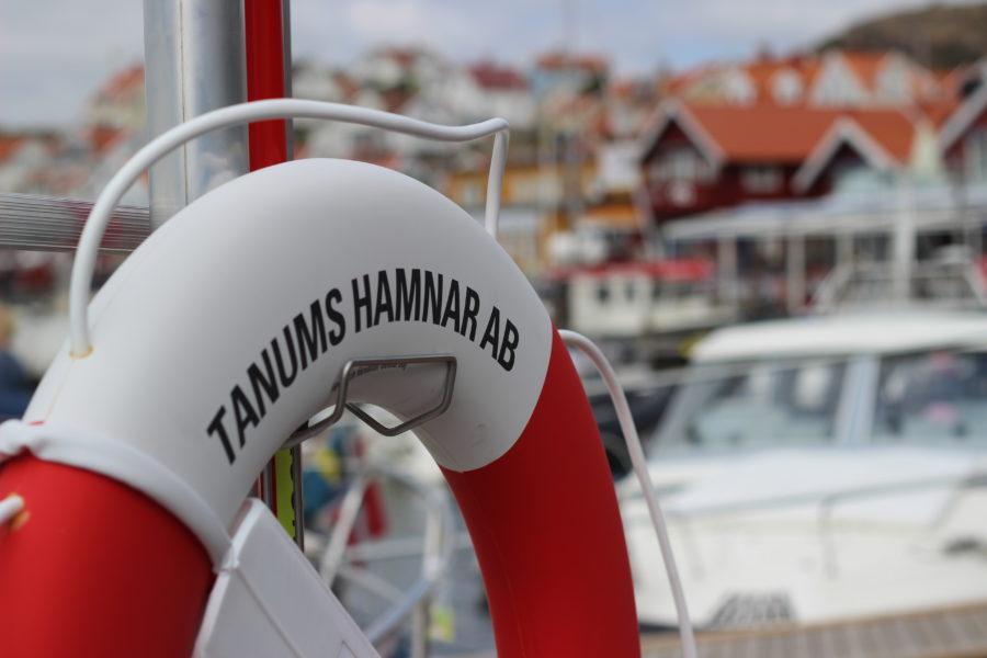 westcoast-smogen-camping-visitsweden-thatwanderlust-renate-camping-tanum-vikings-rock