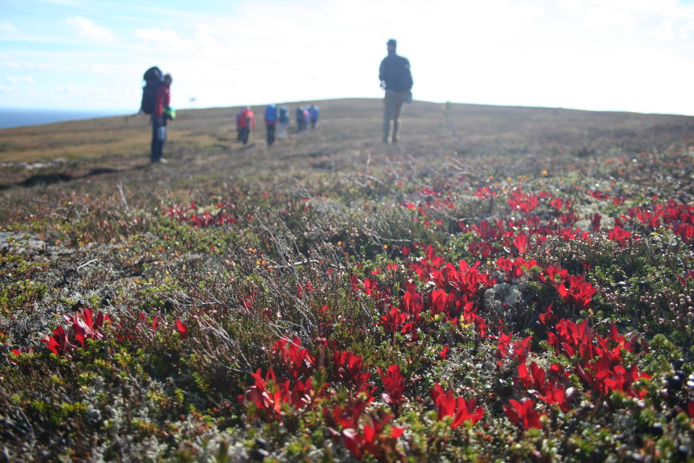 hike_that_wanderlust