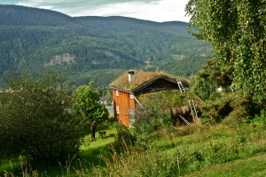 Green_capture_the_colour_2013