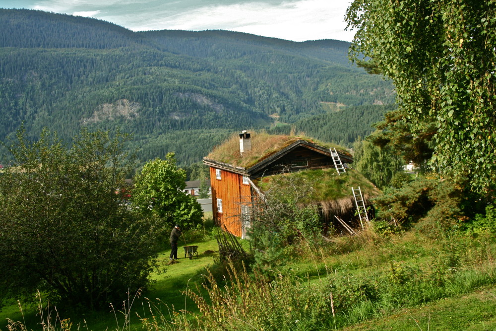 Green_capture_the_colour_2013