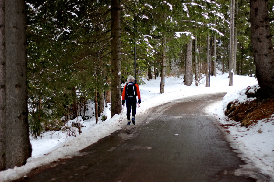 guy in the woods with his skies in canazei