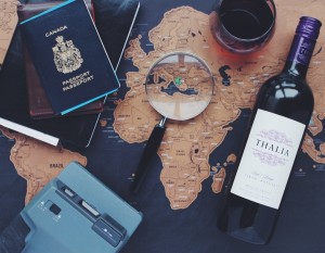 passport travel for free work abroad