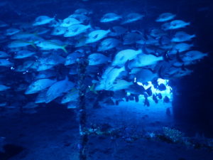 islamujeres-isla mujeres-travel-mexico-love-backpack-blog-wanderlust