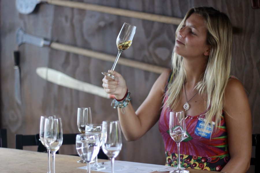 Discover Mexico DiscoverMexico-Cozumel-Tequila-Blogger-Mexico-ParkCozumel-Chocolate-Art-Alebrijes-JoseCuervo-RenateRigters