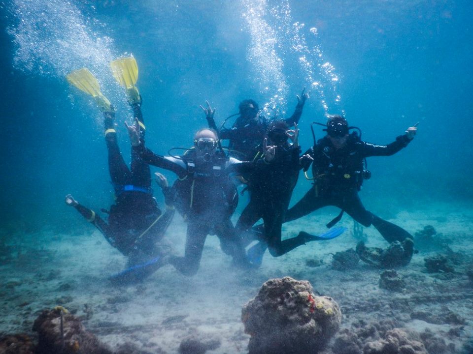 padi-owsi-idc-bocas-wanderlust